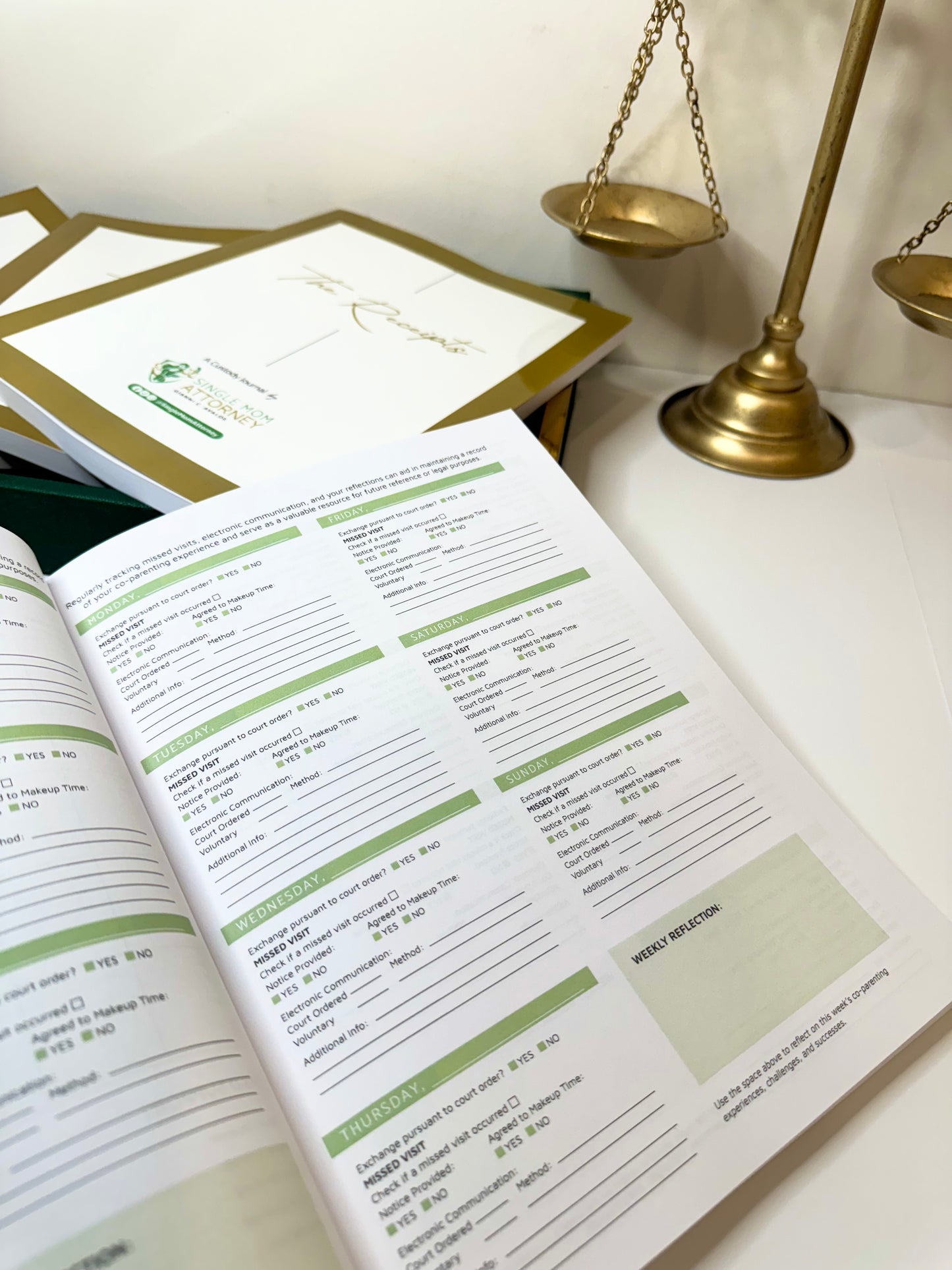 ON SALE 1st Edition - Custody Journal - "The Receipts"