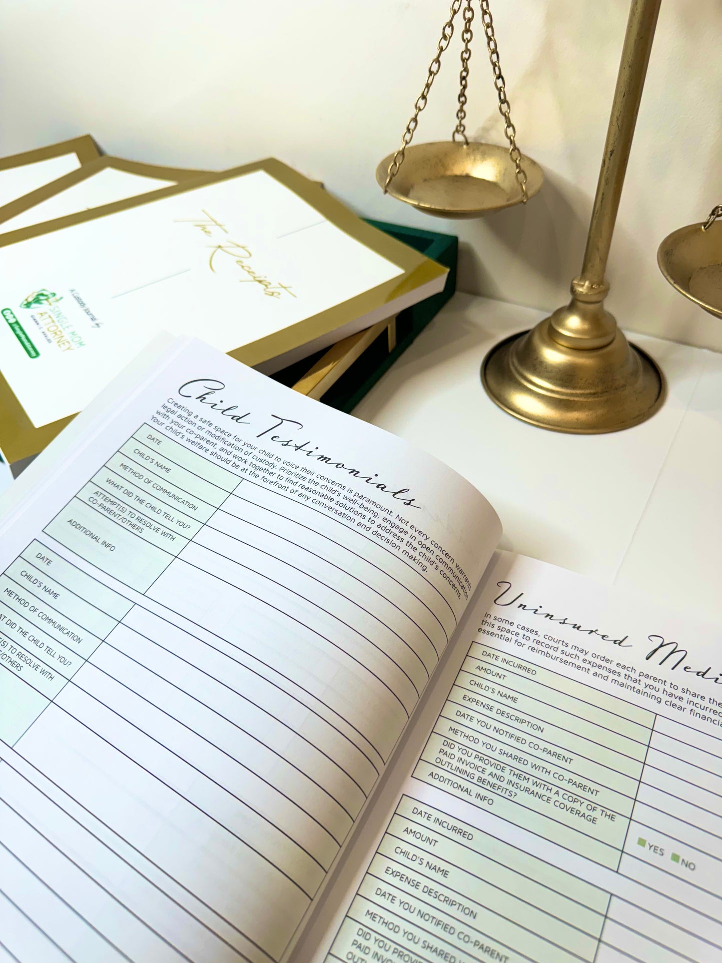 ON SALE 1st Edition - Custody Journal - "The Receipts"