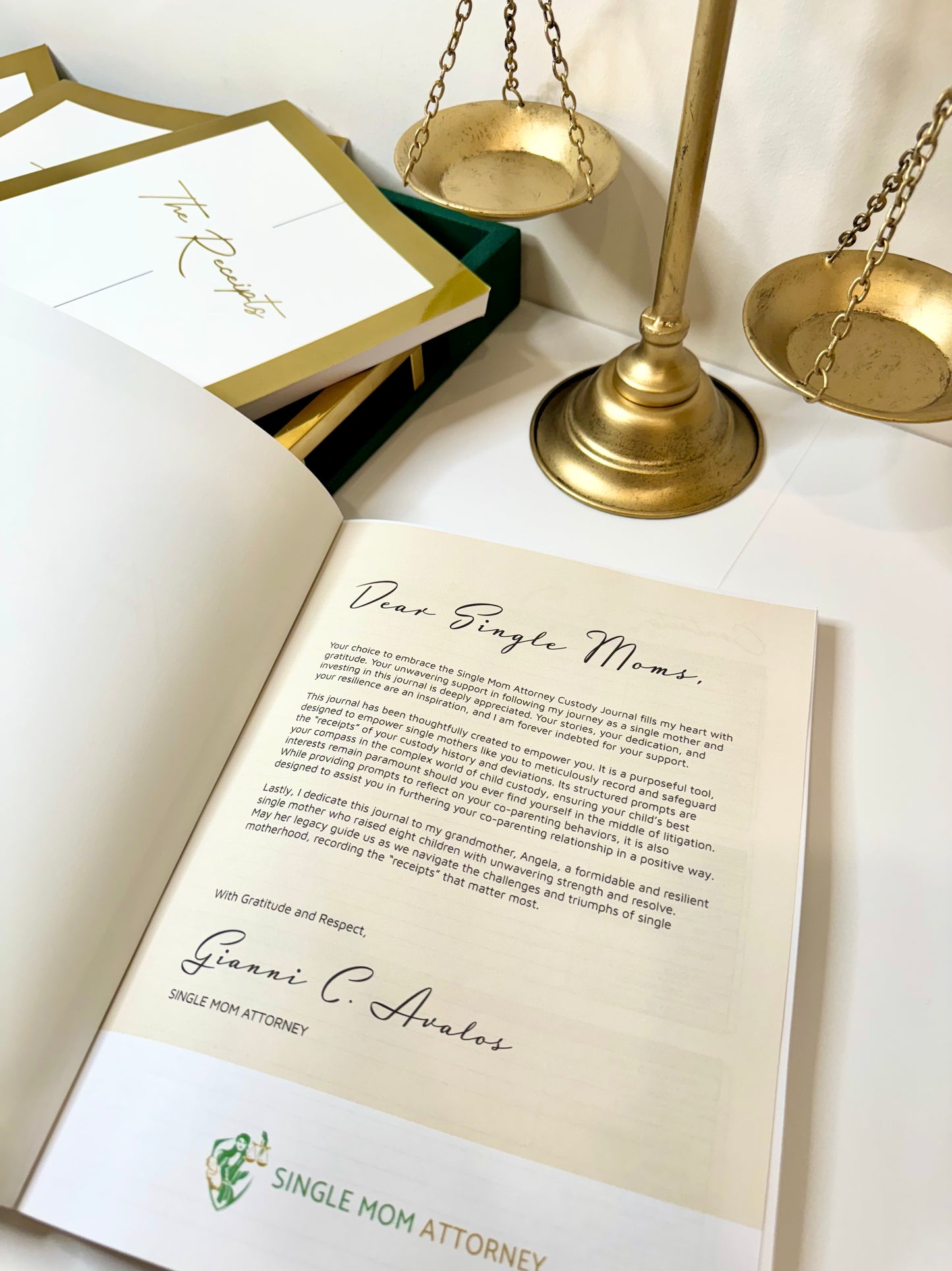 ON SALE 1st Edition - Custody Journal - "The Receipts"