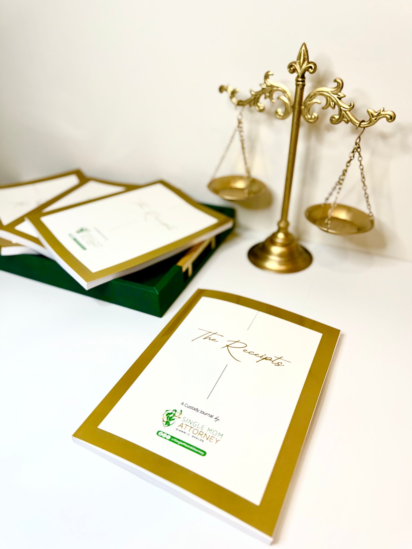 ON SALE 1st Edition - Custody Journal - "The Receipts"