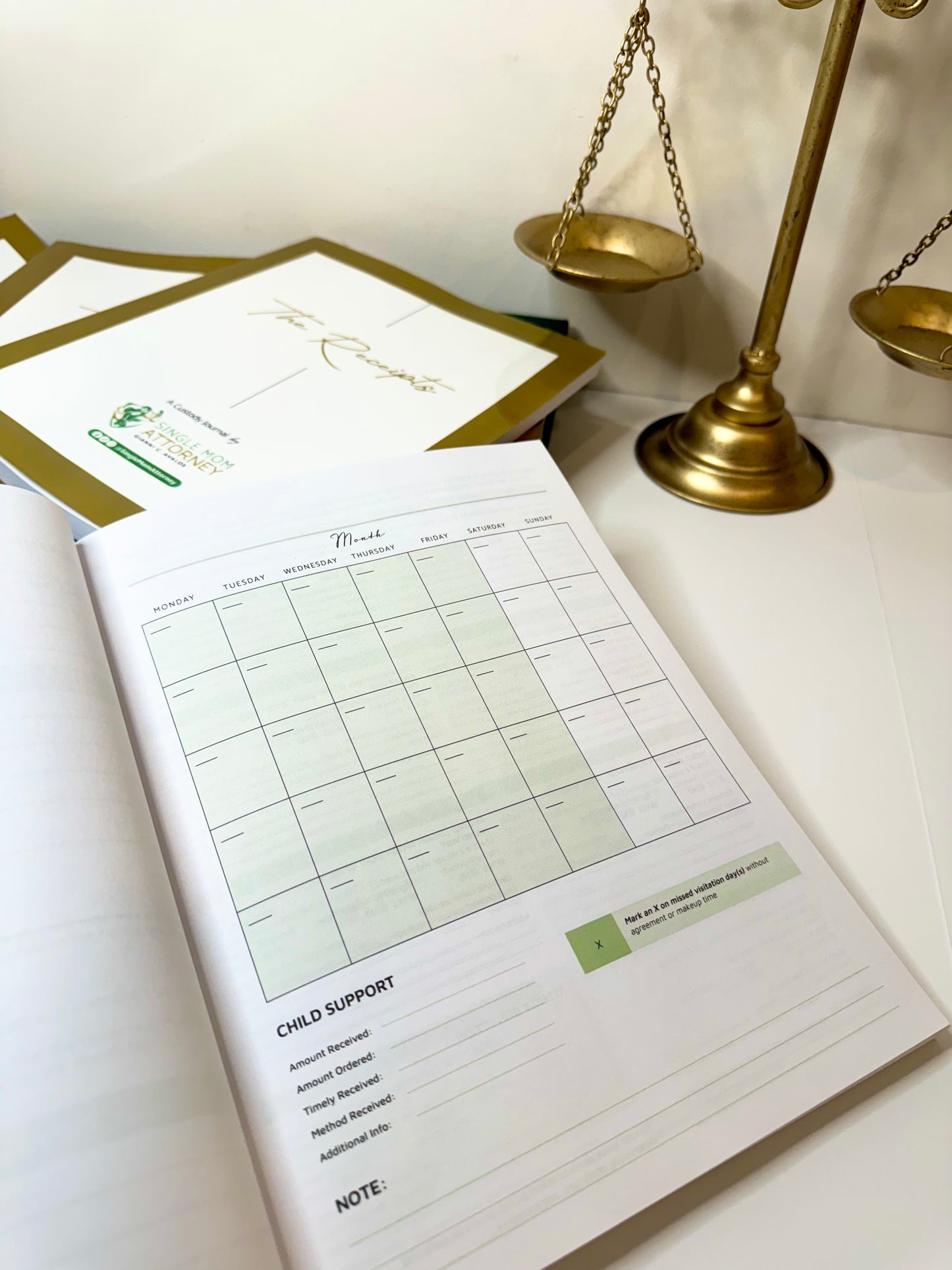 ON SALE 1st Edition - Custody Journal - "The Receipts"