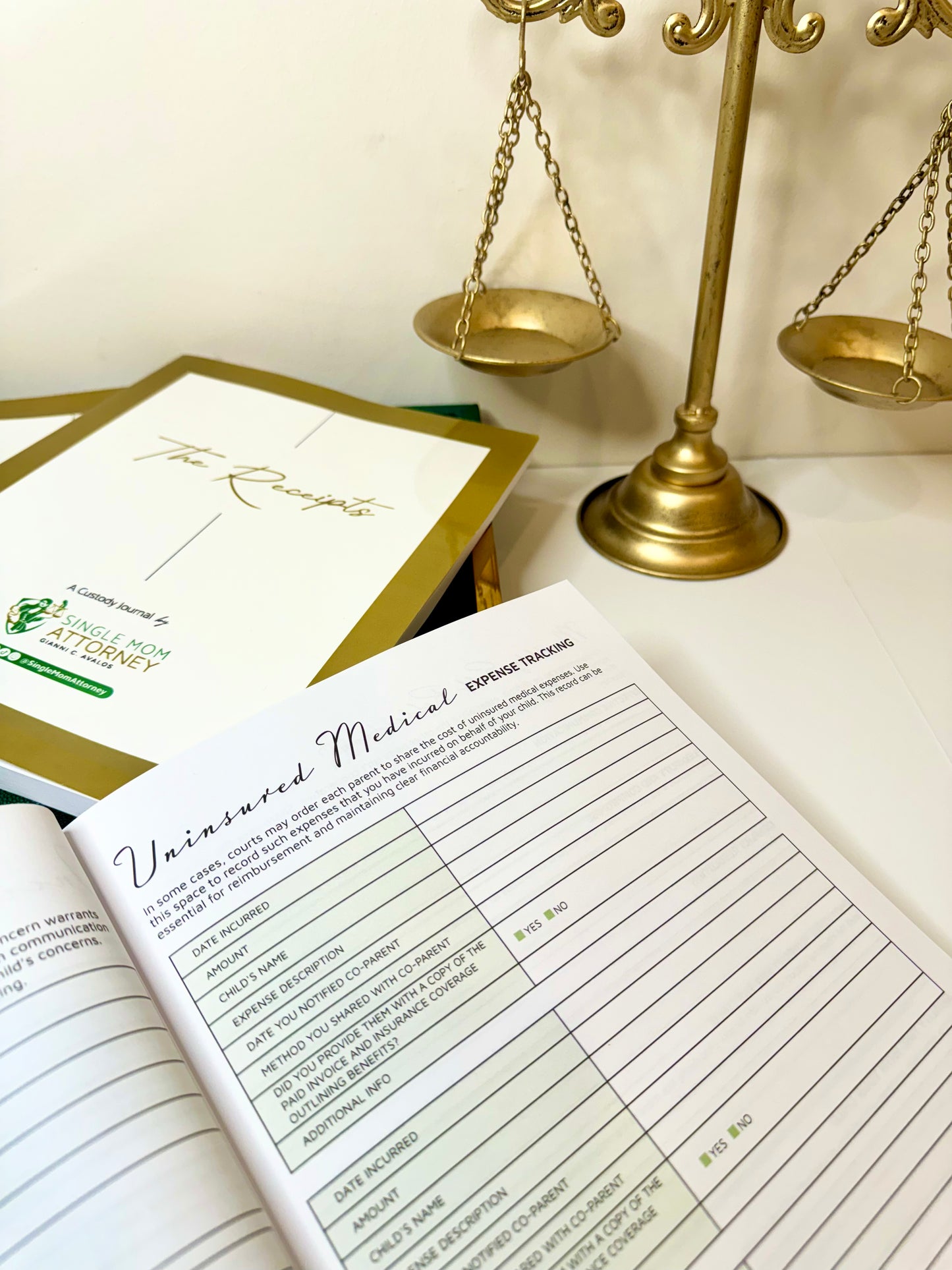 ON SALE 1st Edition - Custody Journal - "The Receipts"